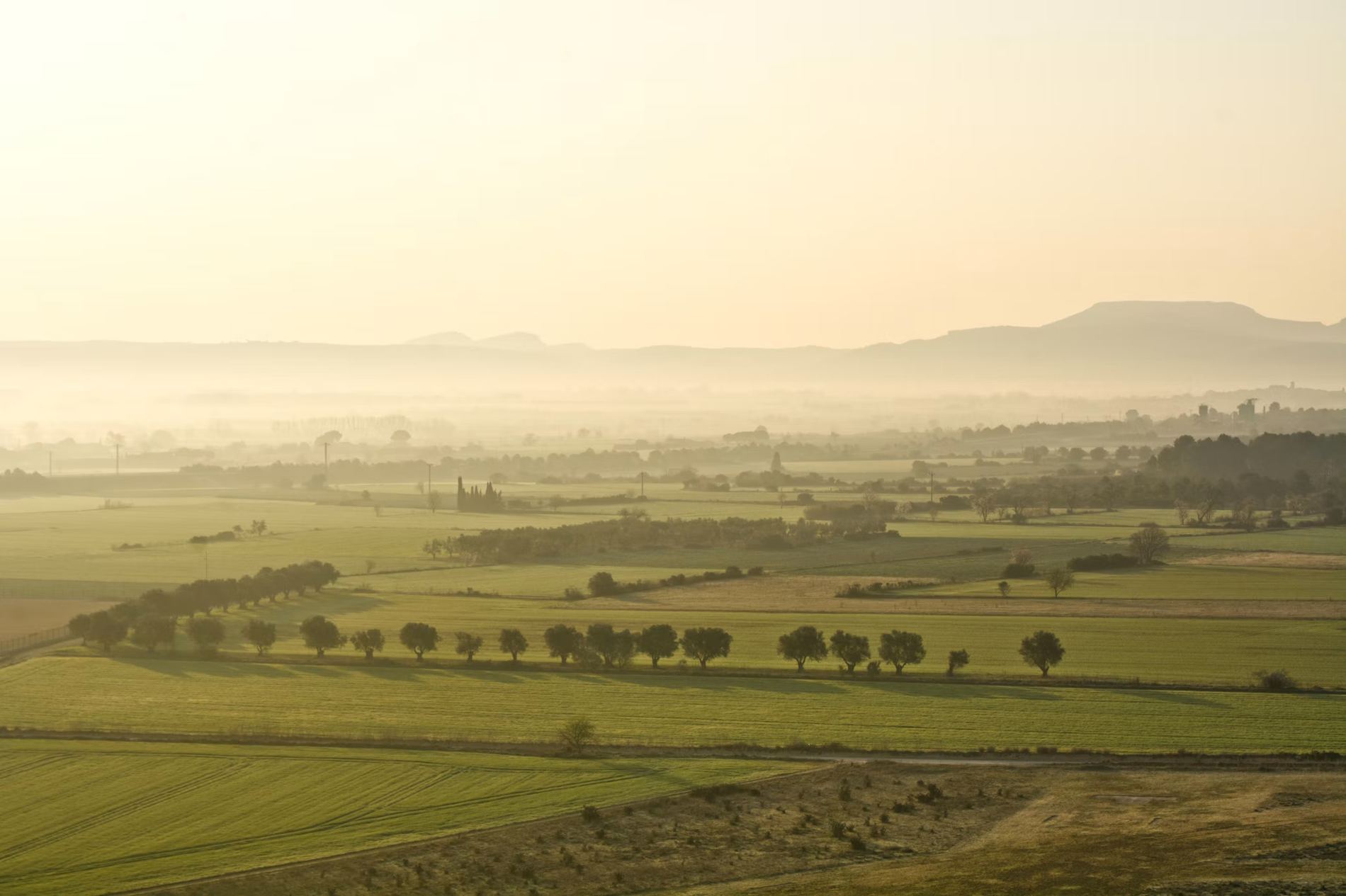 Vista aérea de campos de cultivo, árboles y montañas con niebla al amanecer en Viladamat (Girona). Foto de Laura Agustí (@lauraagusti) en Unsplash